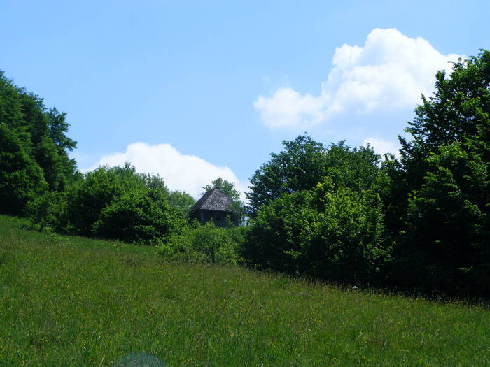 DSCF1066