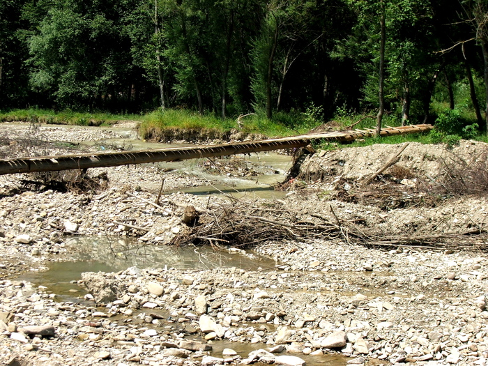 DSCF1678 - peisaje_Bucovina