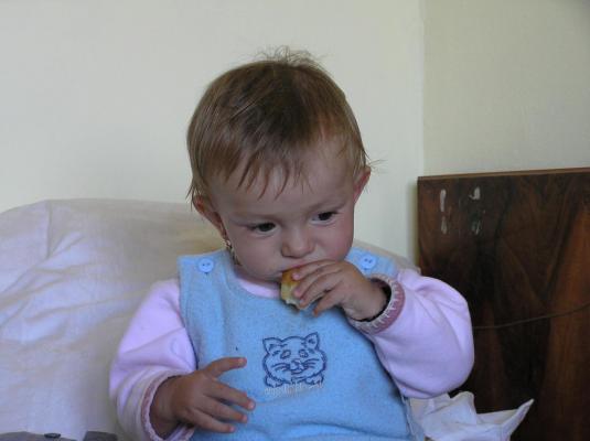 Picture 038