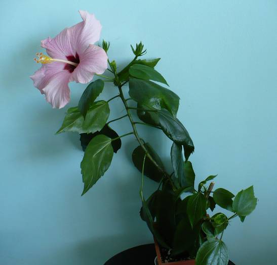 P1110787