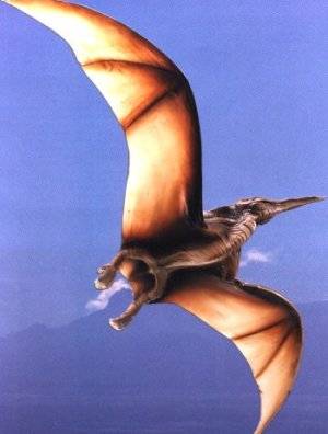 Pterodactyl4[1]