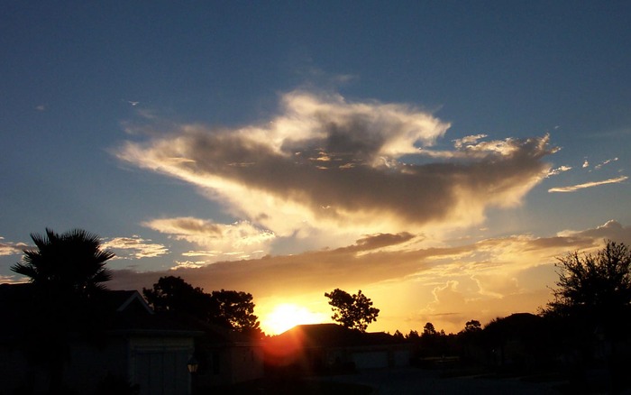 123_floridamorning_1440x900