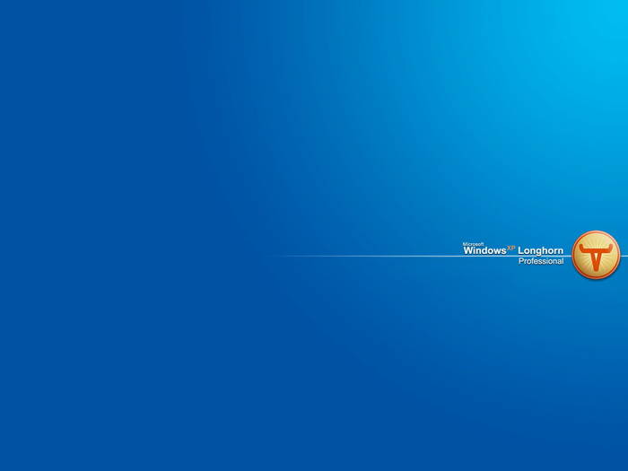 longhorn3 - POZE WINDOWS VISTA