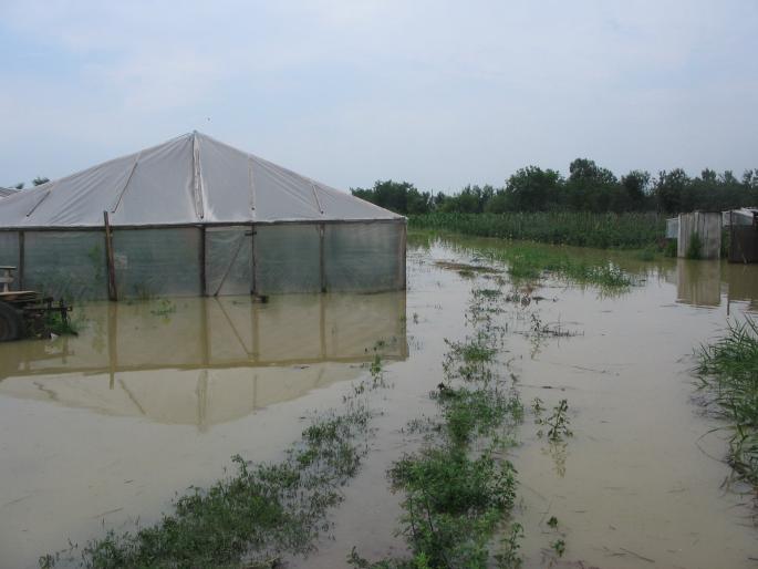 inundatii (82)