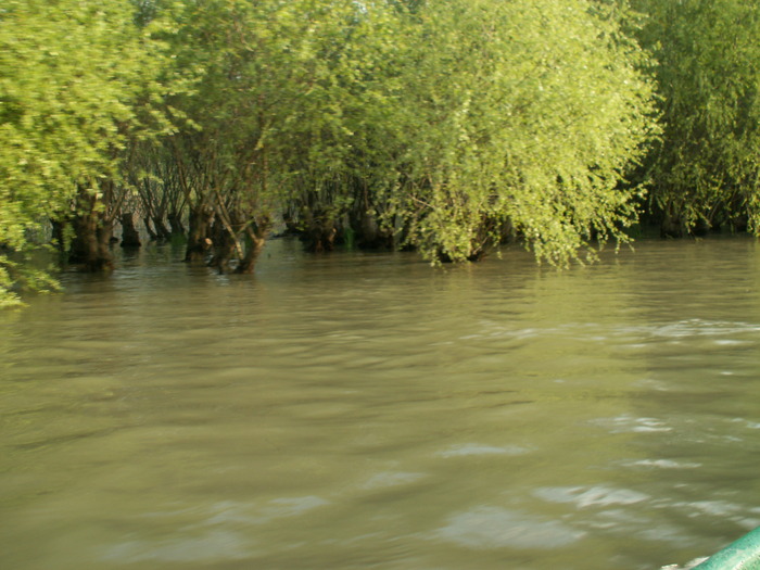 PICT0508 - POZE DELTA