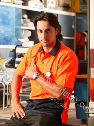 Denis_Stefan4 - Inima de tigan