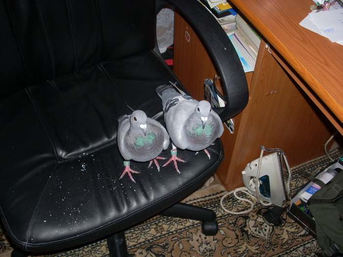 Picture 065 - Porumbei mei achizitionati in anul 2009