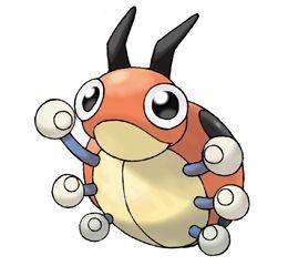 165ledyba
