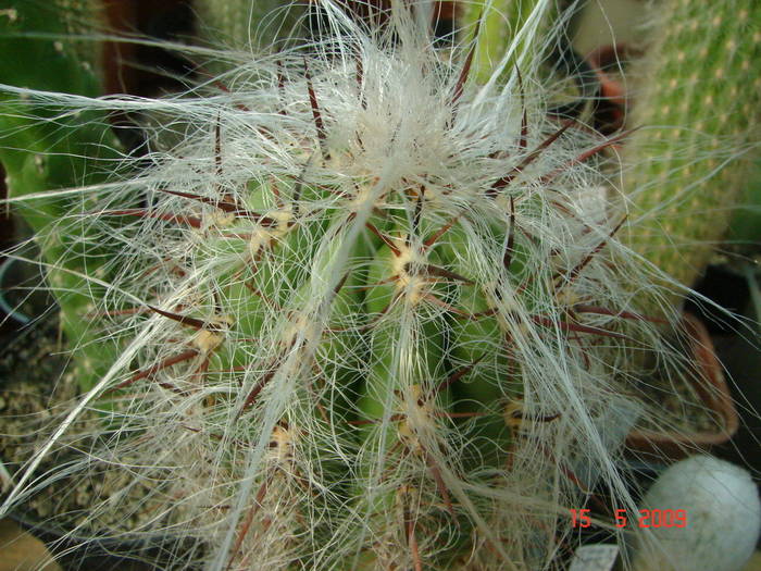 DSC05721