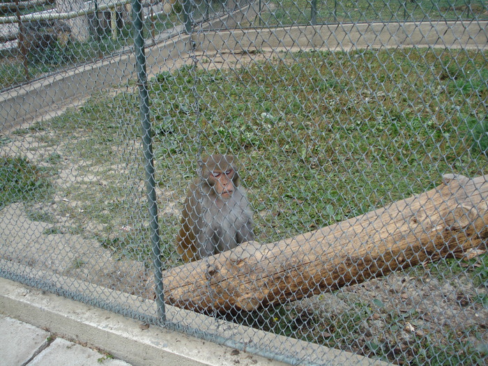 Picture 020