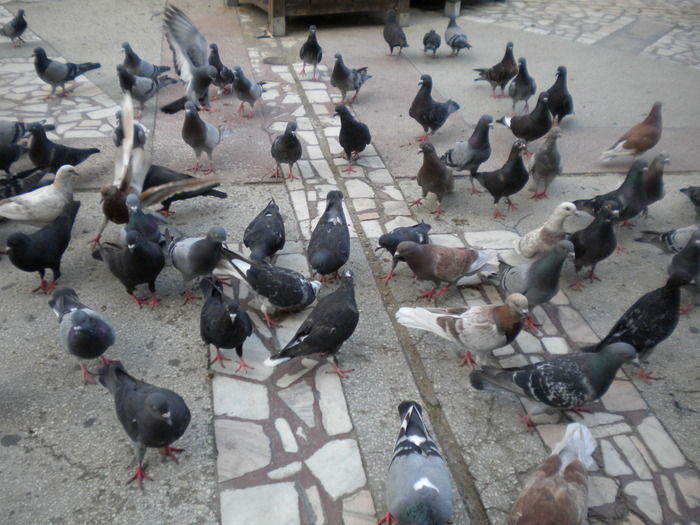 DSCN0131 - 18f Targoviste