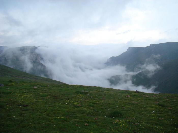 DSC01900 - Concediu 2008