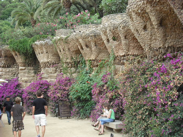 Picture 258 - Parcul Guell