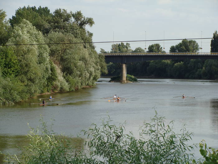 Memorial Sorin Lobont Editia a IX a (2008)