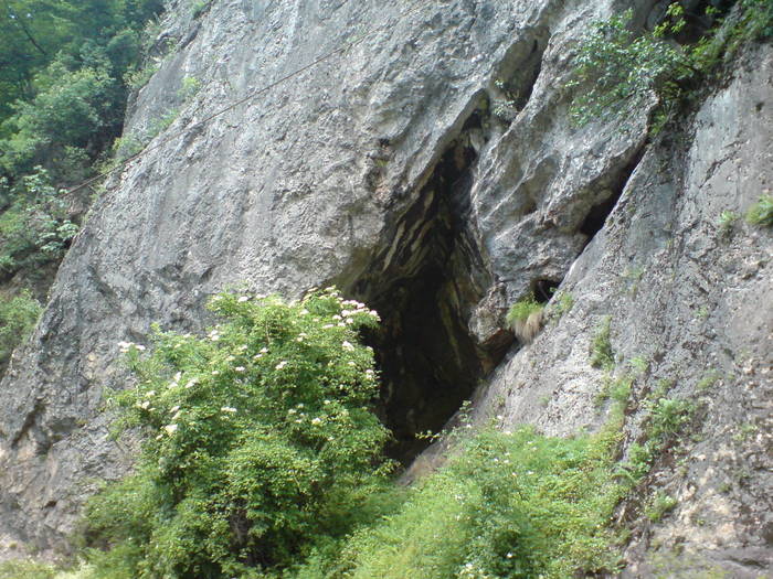 DSC01768