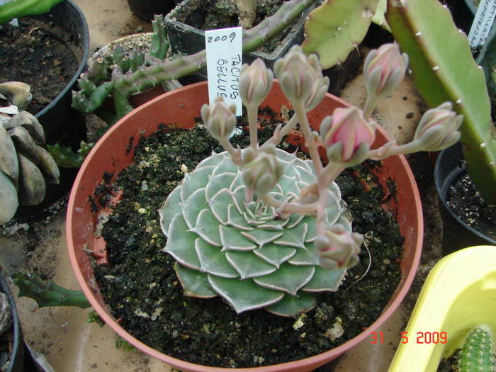 DSC05958
