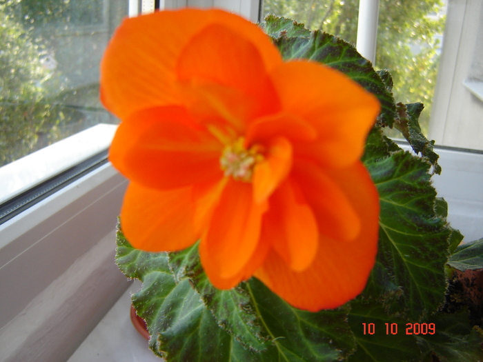 DSC02748