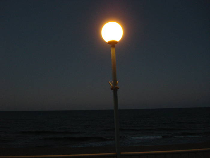 DSC03046
