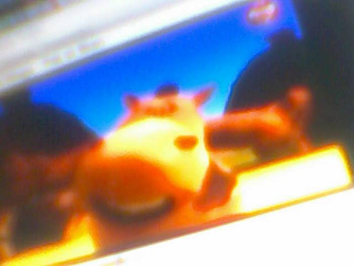 snapshot-681 - Pentru iutu