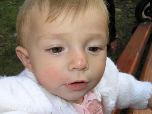 Picture 102