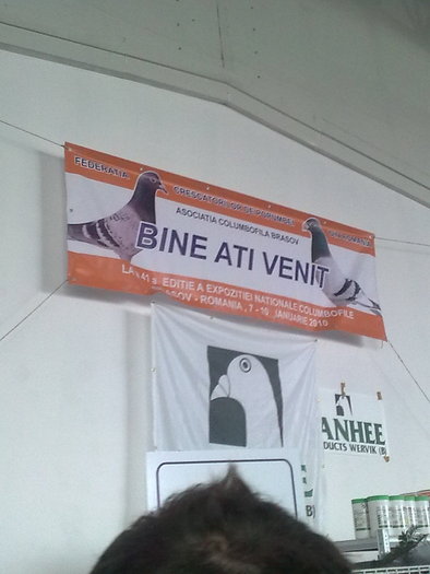 Brasov expo 2010