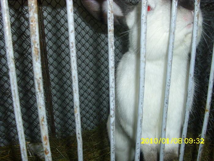 Picture 067