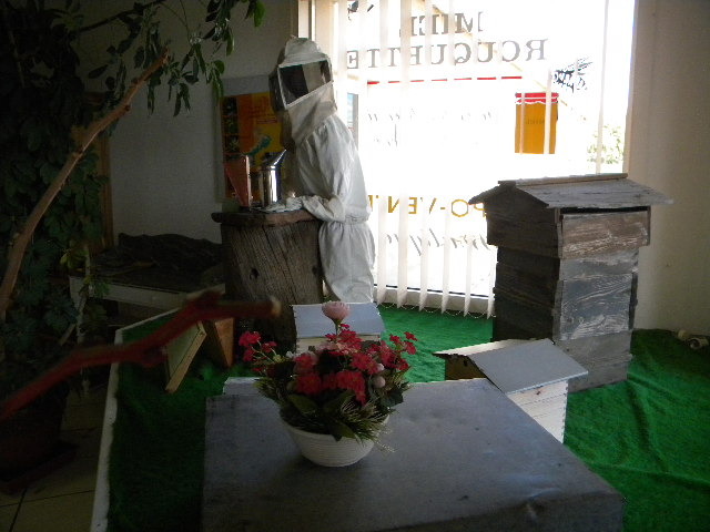 DSCN1937