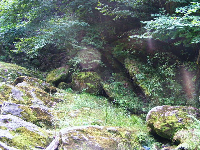 DSCF5188