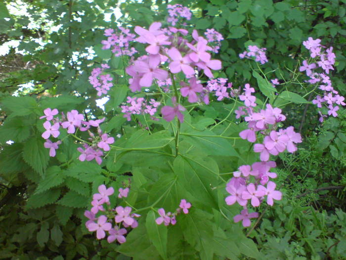 DSC01745