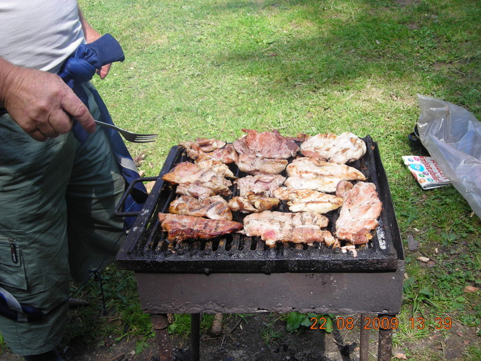 DSCN9335 - Sinaia 23 08 2009