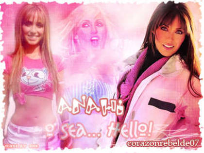 i183139771_81851_6[1]