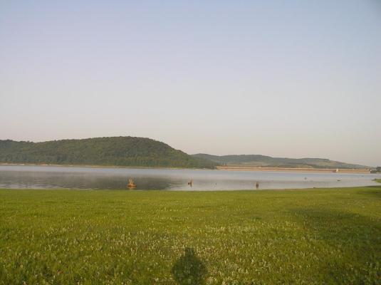 P8200082