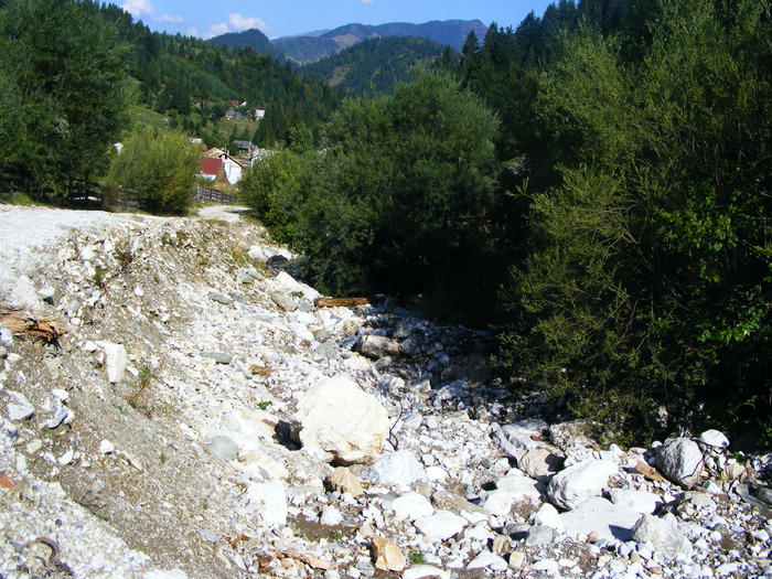 DSCF6288 - muntii Rodnei