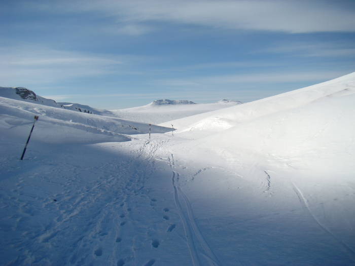 DSC01150 - Bucegi - Valea Izvorul Dorului-Padina