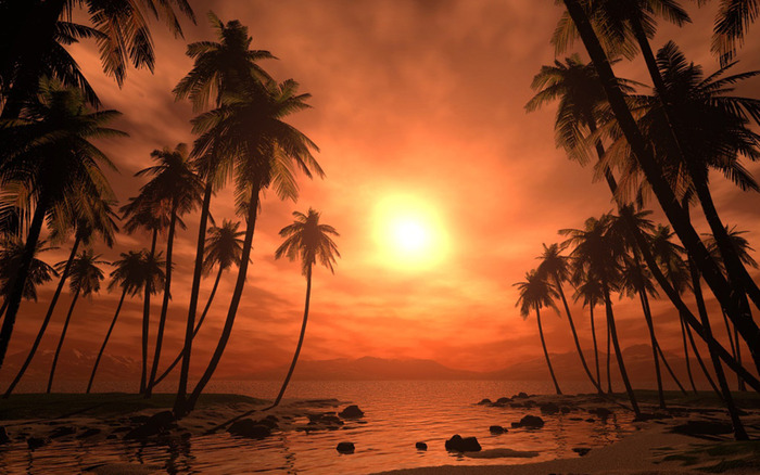 NATURE---ISLAND-2