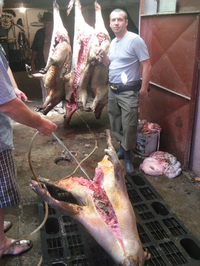 IMG_4211 - 2009-2010 Stolna Cluj