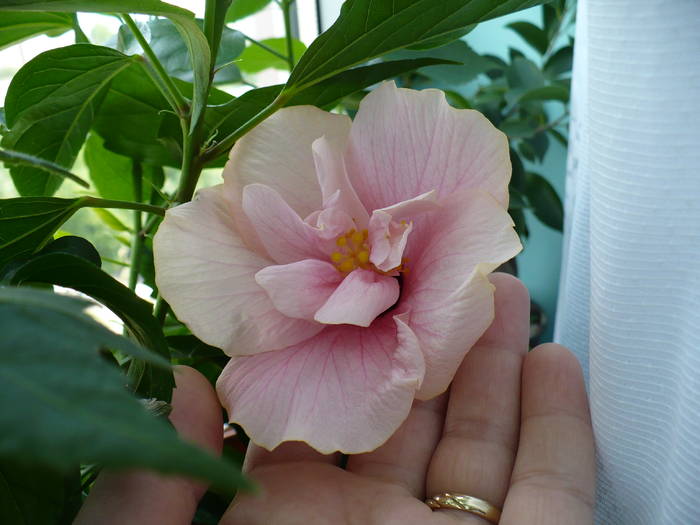 P1150197