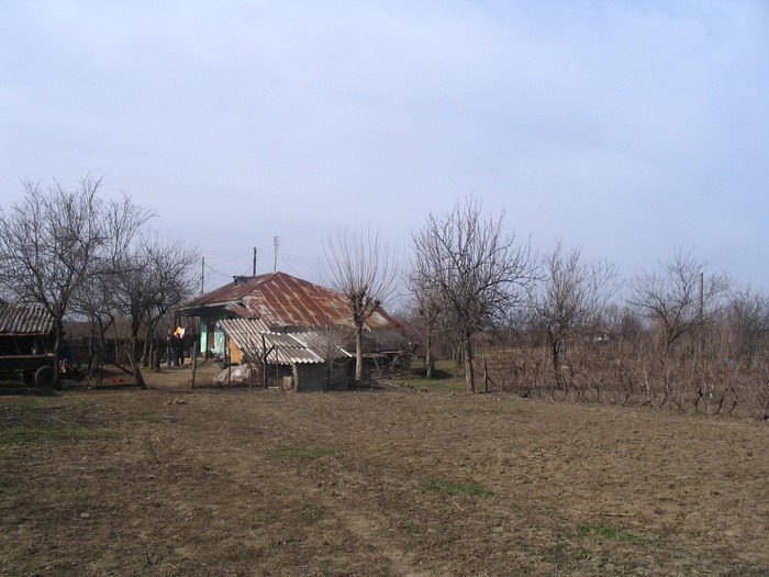 Picture 002; o parte din teren cu casa in fundal
