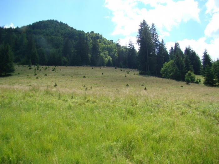 DSC02099 - Concediu 2008