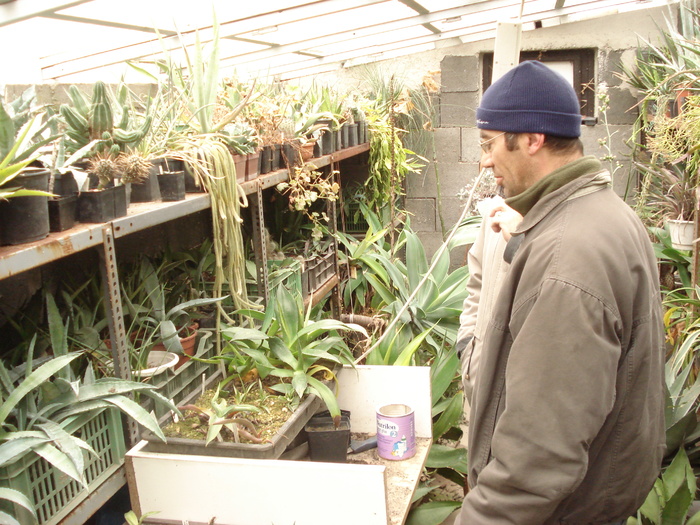 DSC04512 - Colectionari