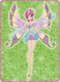 ZQPPYWMFQTRDEQAJPEM - winx