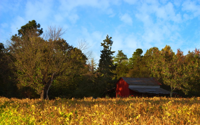 1012_pineygrovefarmnc_1440x900