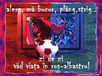 EMNLFEVLLZOGJPXBJKR - Steaua