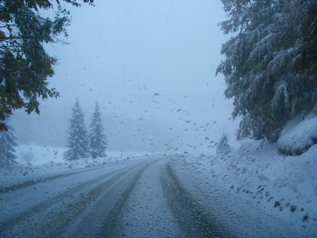 DSCF7345 - ninge in Maramu