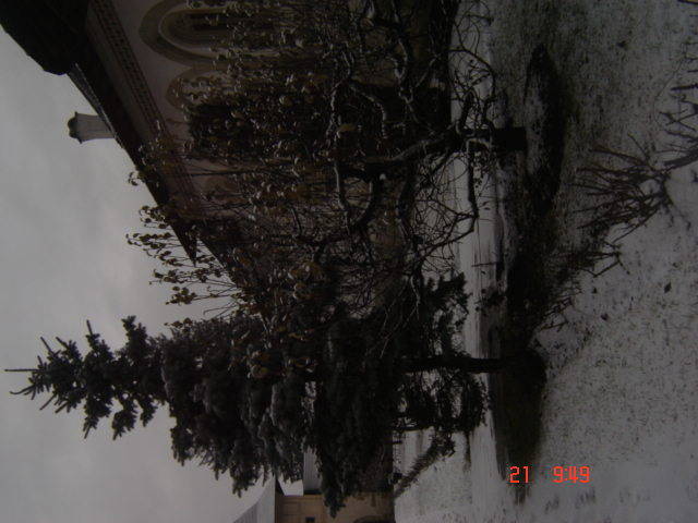 DSC00057