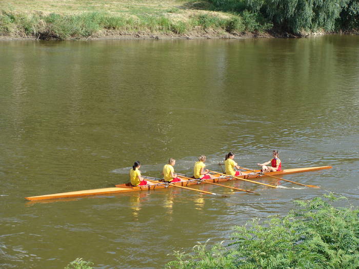 Memorial Sorin Lobont Editia a IX a (2008)