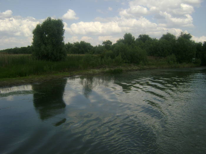 excursie delta dunarii 5062009 106 - EXCURSIE  in DELTA