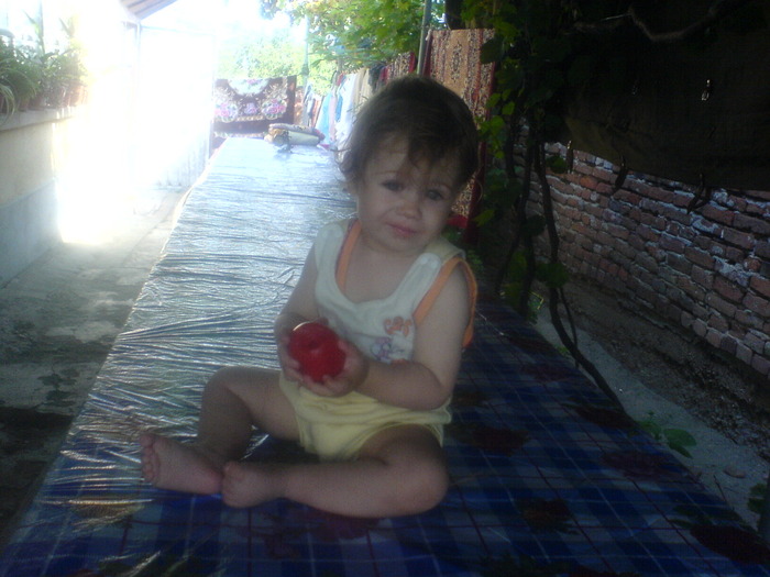 DSC02530