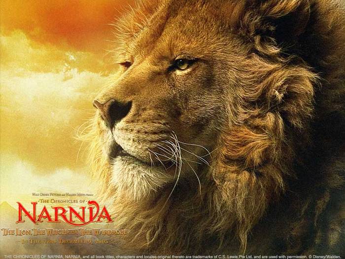08-narnia-wallpaper-800x600-lion[1]