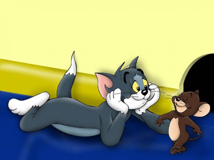 Tom & Jerry - tom and jerry